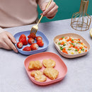 Axyaa Wheat Straw Storage Tray Set: Snack Plate, Fruit Bowl, Breakfast Bread Tray
