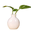 Axyaa Mini Ceramic Vase 7.5x6cm Desktop Decoration for Home Décor and Props