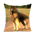 Axyaa German Shepherd Dog Polyester Pillowcase for Home & Office Decorateurs