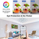 Axyaa Flower LED Ceiling Chandelier for Bedroom & Living Room