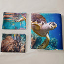 Axyaa Sea Turtle Comforter Set: Ocean Themed Bedding Collection for Teens Boys And Girls