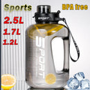 Axyaa 2L Water Bottle with Straw Lid: BPA-Free Sports Gym Kettle for Camping and Travel