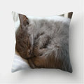 Cute Cat Print Cushion Cover for Sofa Decor by Axyaa