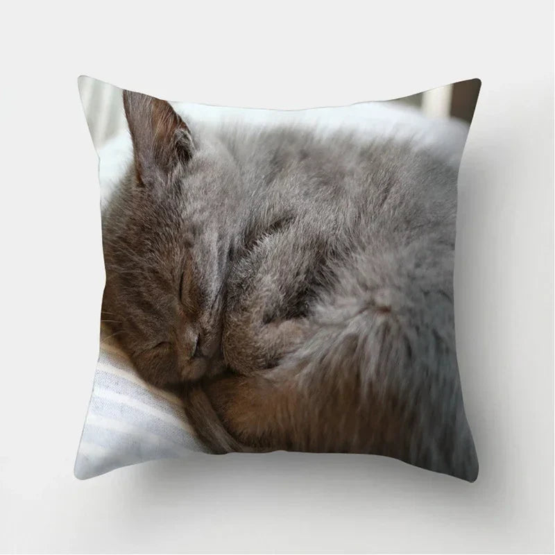 Cute Cat Print Cushion Cover for Sofa Decor by Axyaa