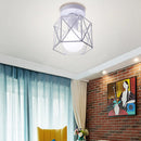 Axya Vintage Wire Cage Ceiling Lights for Home Restaurant Hotel Decor