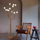 Axyaa Acrylic LED Floor Lamp for Living Room Ambiance