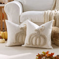 Axyaa Pumpkin Chenille Pillow Cover - Cozy Fall Harvest Decor, Beige/Coffee/Orange Texture