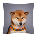 Axyaa Cute Dog Photo Polyester Cushion Cover for Home Sofa Car