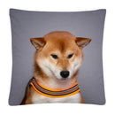 Axyaa Cute Dog Photo Polyester Cushion Cover for Home Sofa Car