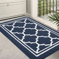 Axyaa Soft Kitchen Rug Non-Slip Entrance Doormat Absorbent Outdoor Mat