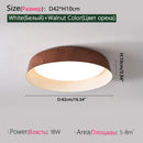 Axyaa LED Ceiling Light: Nordic Minimalist Remote Control Chandelier