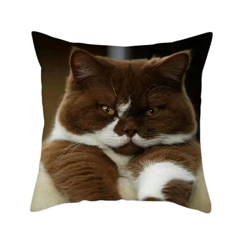 Cat Pattern Cushion Cover 45x45cm - Ideal Sofa & Home Decor Gift by Axyaa