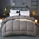 Axyaa Winter Hotel Style Quilted Comforter Queen King 220x240 - Warm & Cozy