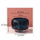 Axyaa Glass Vase: Modern Minimalist Floral Desk Decor