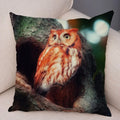 Axyaa Wild Owl Cushion Cover: Decorative Sofa Pillowcase for Home and Children's Room