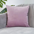 Axyaa Luxury Velvet Cushion Cover for Sofa Living Room Decor 45x45 30x50 50x50