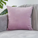 Axyaa Luxury Velvet Cushion Cover for Sofa Living Room Decor 45x45 30x50 50x50