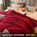 Axyaa Double Sided Wool Throw Blanket for Queen Bed