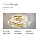 Axyaa Minimalist LED Ceiling Lamp for Bedroom & Living Room in Black, White, or Gold