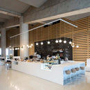 Axyaa Nordic Glass Pendant Light - Modern Iron Art Lighting Fixtures