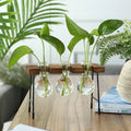 Axyaa Wooden Frame Hydroponic Glass Bulb Vase Planter for Home Decor