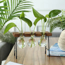 Axyaa Wooden Frame Hydroponic Glass Bulb Vase Planter for Home Decor