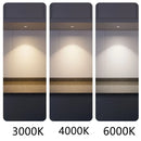 Axyaa 220V LED 5W Surface Mounted Spot Light for Showcase Counter Jewelry Cabinet