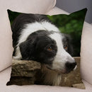 Scottish Border Collie Pillowcase - Axyaa Dog Print Decor Cushion Cover