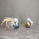 Axyaa Irregular Glass Vase Golden Ball Terrarium Flower Arrangement Jar