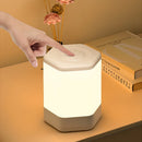 Axyaa LED Night Light: USB Charge, Human Touch Control, Ideal for Bedroom Bedside Table.