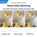 Axyaa Macaron Desk Lamp with LED Light and Pen Holder