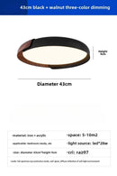 Axyaa Nordic LED Ceiling Light, Remote Control, Minimalist Design