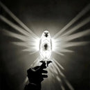 Axya 3D Print Resin Anime Owl Eagle Wall Lamp Night Light