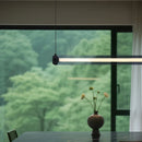 Axyaa Modern LED Pendant Light Chandeliers for Living Room and Dining Room