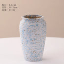 Axyaa Ceramic Vase: Stylish Hydroponic Decor for Home and Hotel Displays