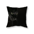 Axyaa Black Cat Cushion Cover for Sofa, Car, Office, Game Chair - Cute & Funny