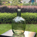 Axyaa Glass Vase: Big Belly Flower Arrangement Hydroponics Home Decoration