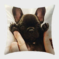 Axyaa French Bulldog Polyester Cushion Cover - Modern Sofa Throw Pillow Cover