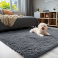 Axyaa Kids Bedroom Shaggy Carpet: Soft, Fluffy, Cozy Rugs for Boys and Girls
