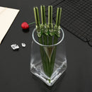 Axyaa Green Glass Straws: 9Pcs Eco-friendly High Borosilicate Glass Drinking Straws