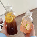 Axyaa 750ml Glass Water Bottle with Time Marker, Lid, and Straw