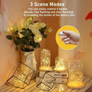 Axyaa LED Fairy Lights String for Christmas, Wedding, Bedroom, Garden Decoration