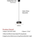 Axyaa Nordic Indoor LED Pendant Light, Modern Ceiling Mounted Lamp for Home, Dining, Bedroom