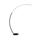 Axyaa RGB LED Fishing Floor Lamp for High-End Living Room Decor
