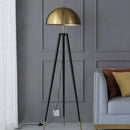 Axyaa Modern Floor Lamps for Living Room, Bedroom, and Home Decor