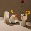 Axyaa Irregular Hydroponic Glass Vase - Creative Ins Style Home Decor