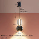 Axyaa Nordic Iron Glass Chandelier LED Lighting for Home Decor