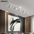 Axyaa Modern Ceiling Light with Spotlight for Home Indoor Decor