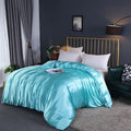 Axyaa Mulberry Silk Duvet Cover Queen Skin Beauty Comforter Cover Bed Blanket