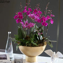 Axyaa Golden Metal Vase: Minimalist Round Plant Pot for Room Aesthetic Decor